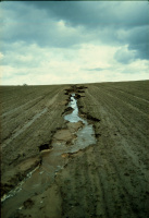 Webinar on “Soil Erosion” at UTCAN by Prof. John Dymond from New Zealand