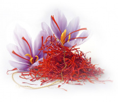 Joint research project between University of Valencia and UTCAN on Virus-Free Saffron