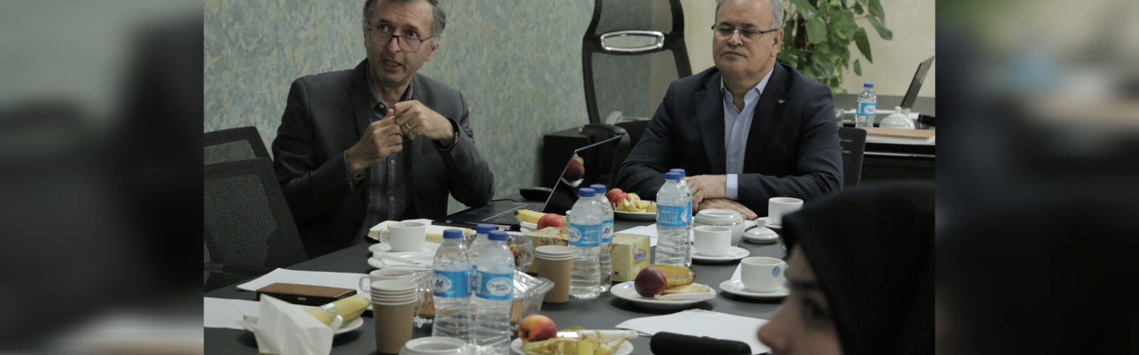 معاون پژوهشی دانشکدگان کشاورزی و منابع طبیعی دانشگاه تهران مطرح کرد ؛ امکان توسعه کشاورزی در بیابان‌ با روش‌های نوین