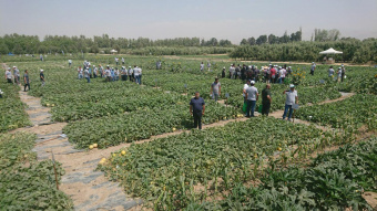 برگزاری روز مزرعه در ایستگاه علوم باغبانی پردیس