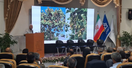 برگزاری نشست علمی با عنوان &quot; چالش های فضای سبز در مدیریت شهری، فرصت ها و تهدیدها &quot;