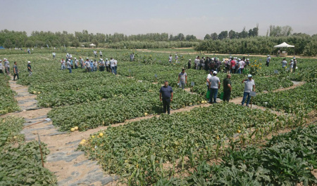 برگزاری روز مزرعه در ایستگاه علوم باغبانی پردیس