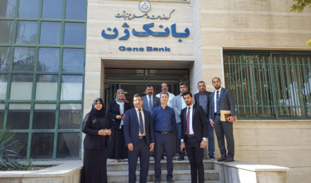 بازدید هیات دانشگاه بصره از پردیس