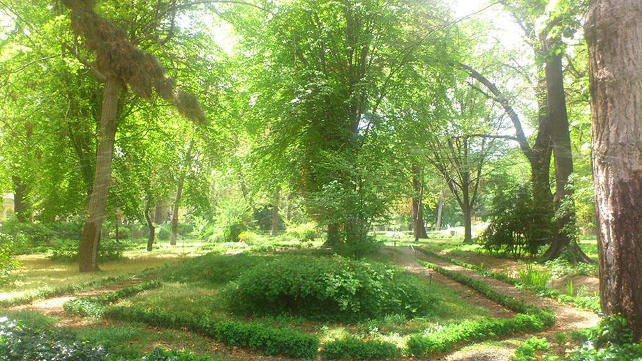 باغ گیاه شناسی
